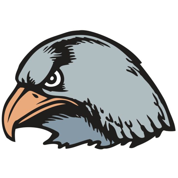 BAW HWK FLCN 03 RC Thumbnail