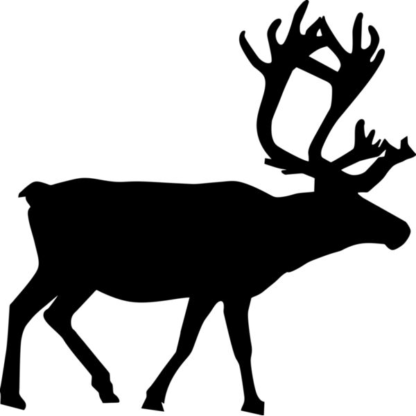 Reindeer 004 Thumbnail